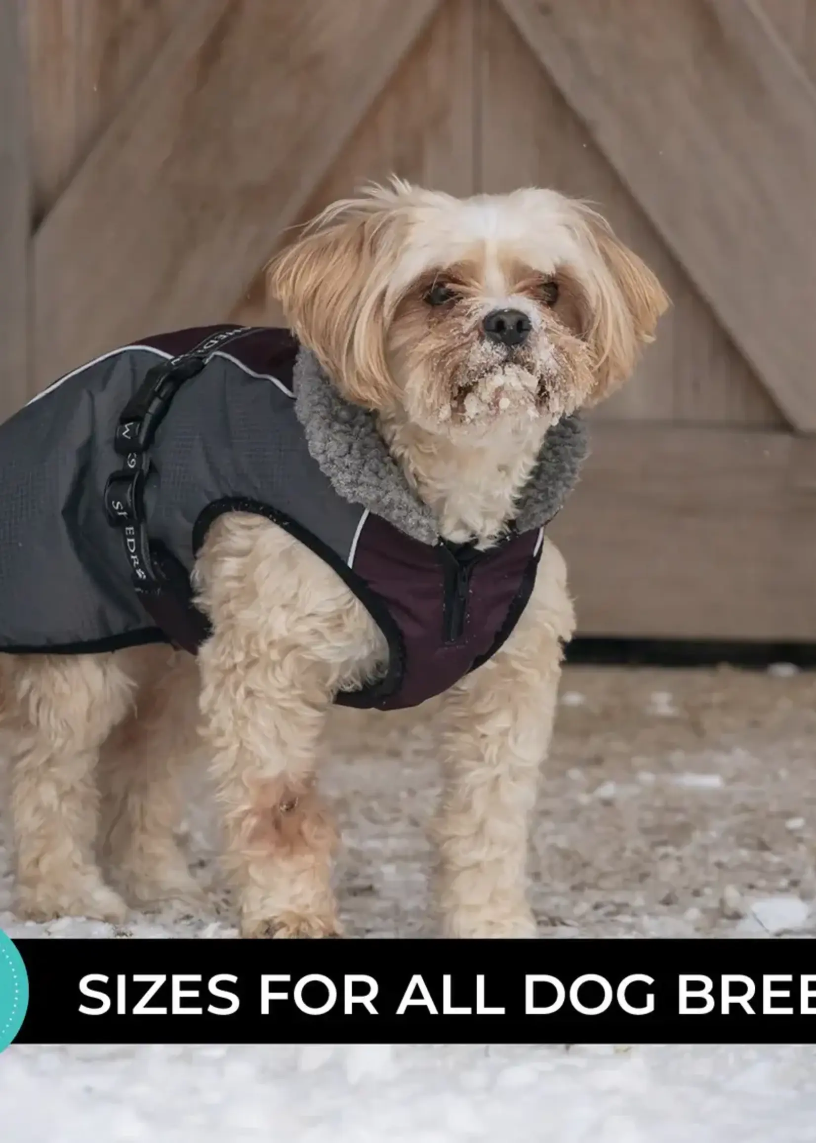 Shedrow K9 Shedrow K9 Chinook Dog Coat Wine M