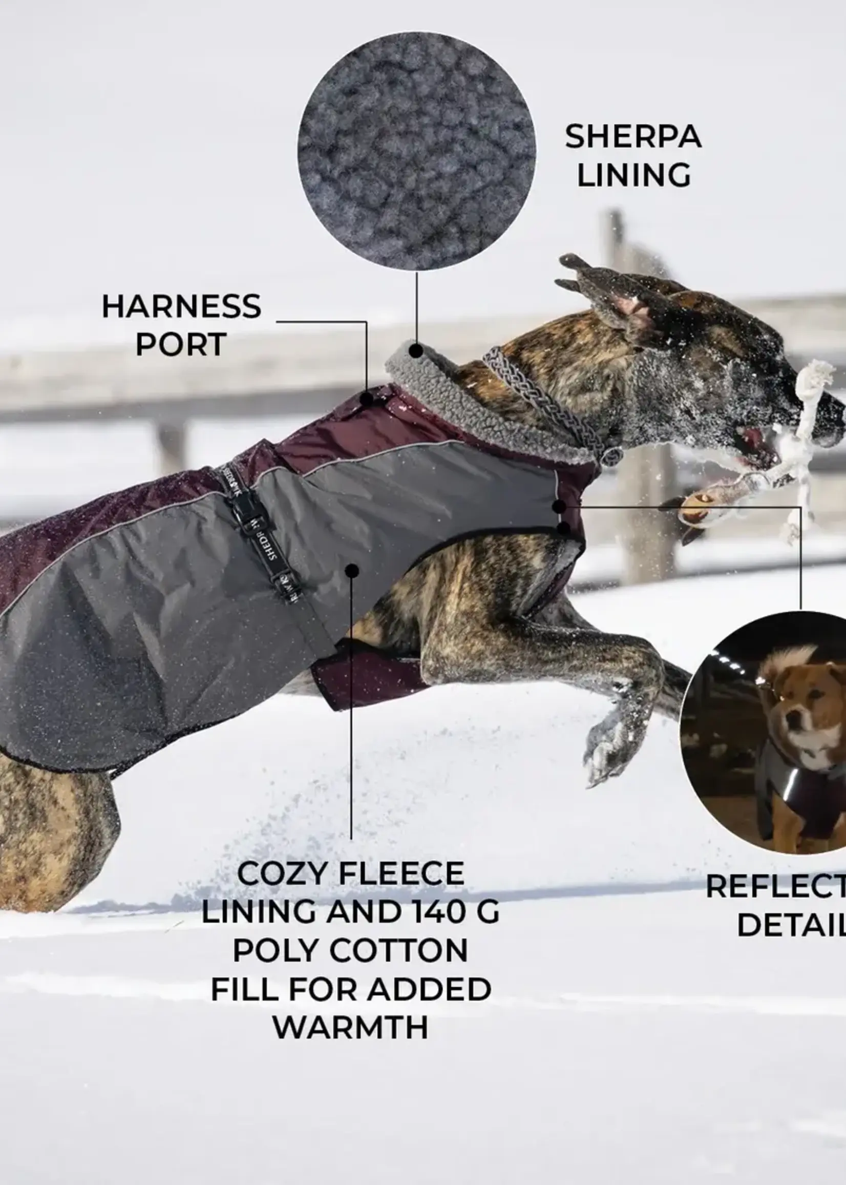 Shedrow K9 Shedrow K9 Chinook Dog Coat Wine MS