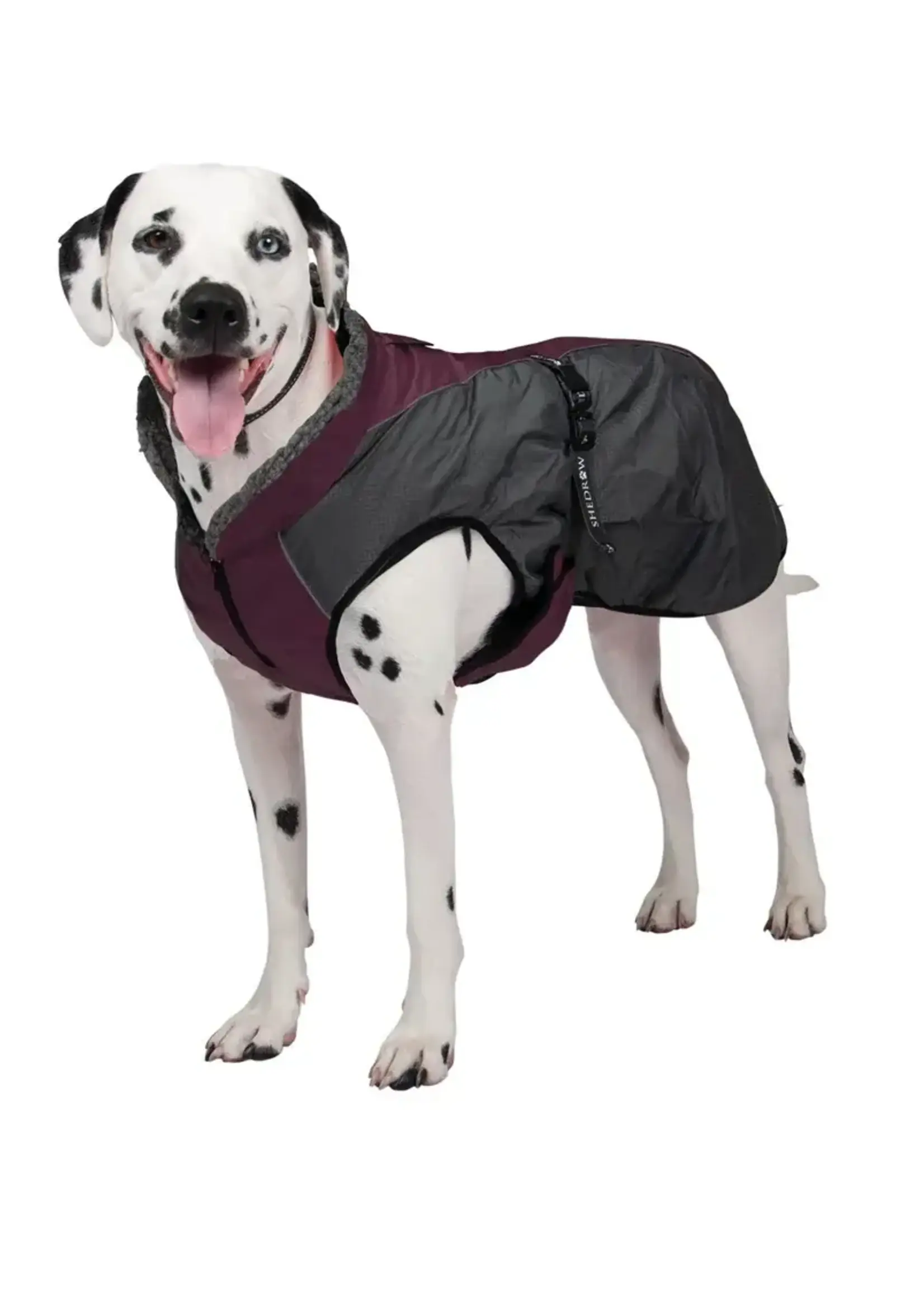 Shedrow K9 Shedrow K9 Chinook Dog Coat Wine S