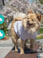 Shedrow K9 Shedrow K9 Brentwood Cable Knit Dog Sweater Orchid Ice M