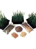 KOOKY KAT CATNIP Kooky Kat Grow Your Own Wheat & Oat Grass w/ Soil