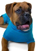 Vet Med Wear Post Operative Suit (Blue) Large