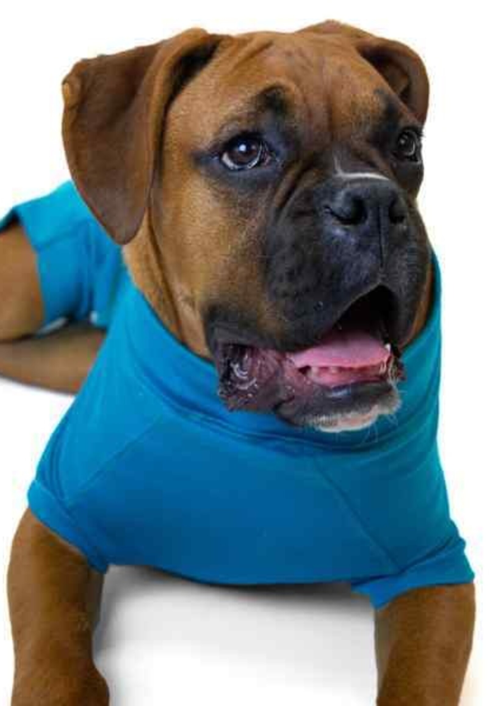 Vet Med Wear Post Operative Suit (Blue) Medium