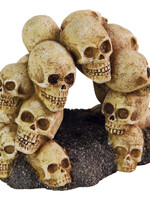 Aqua-Fit AQUA-FIT Polyresin Skull Arch 5.25x4x4"