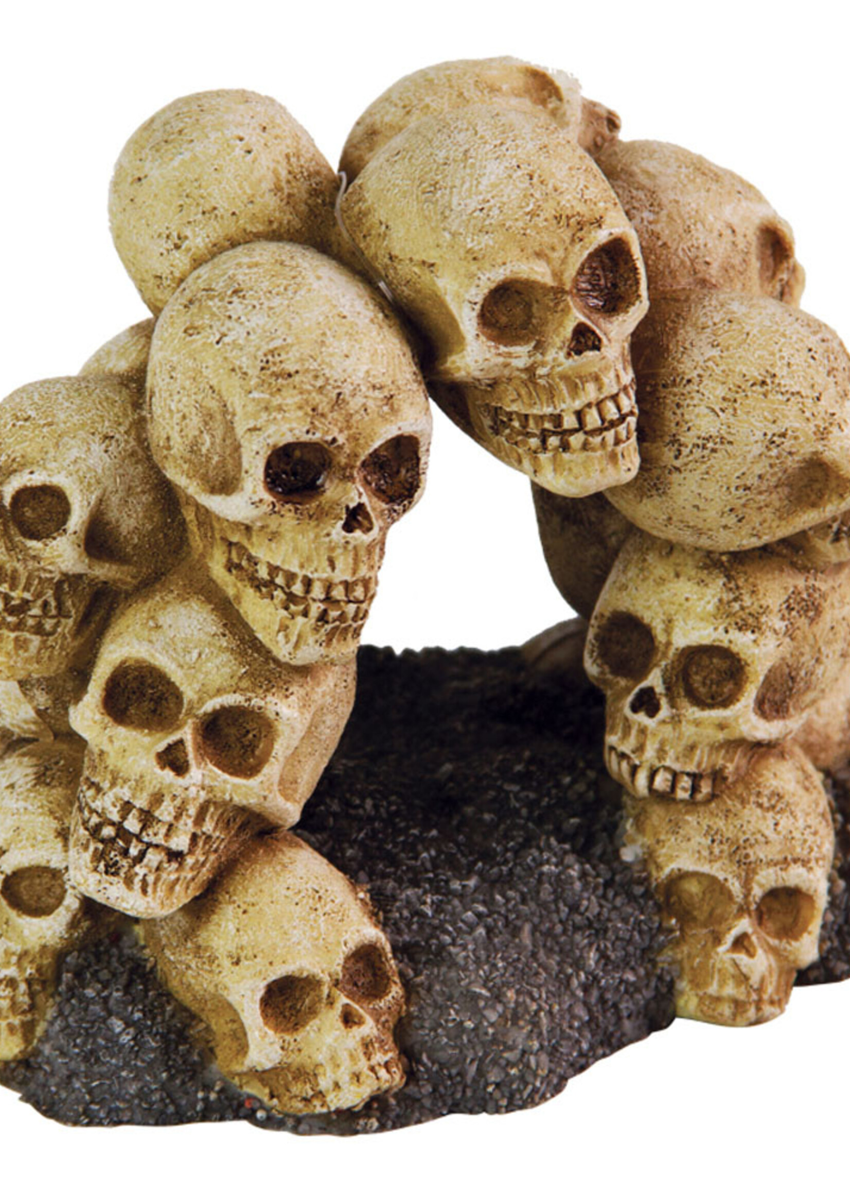 Aqua-Fit AQUA-FIT Polyresin Skull Arch 5.25x4x4"