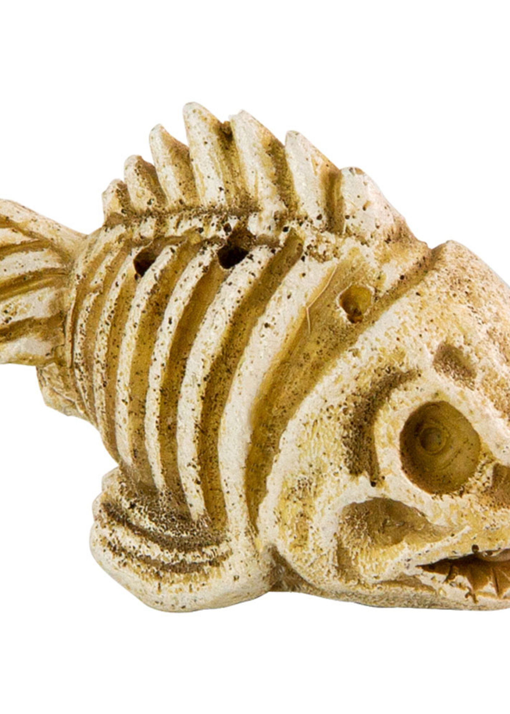 Aqua-Fit AQUA-FIT Polyresin Fish Skeleton 3x1.5x2"
