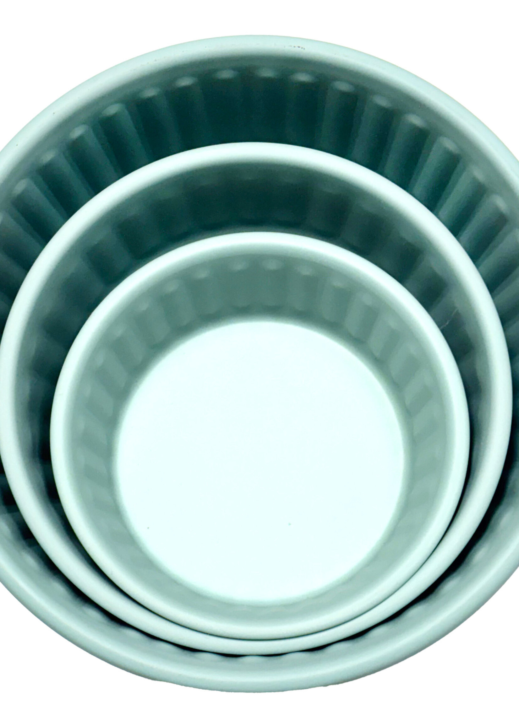 SST SST Powder-Coated Embossed Premium Antiskid Dog Bowl Teal 470 mL