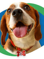 Retail Advantage Dog Tag - PAWsh