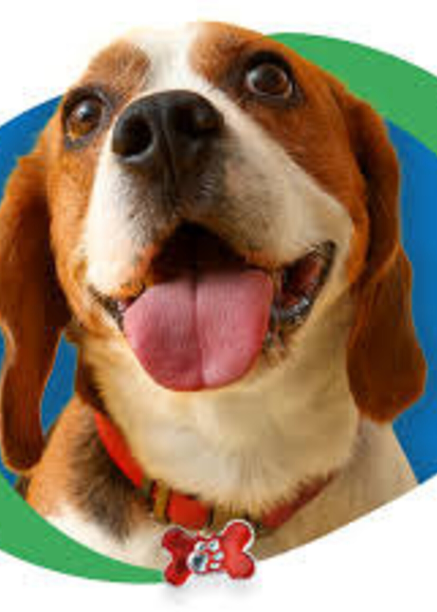 Retail Advantage Dog Tag - PAWsh