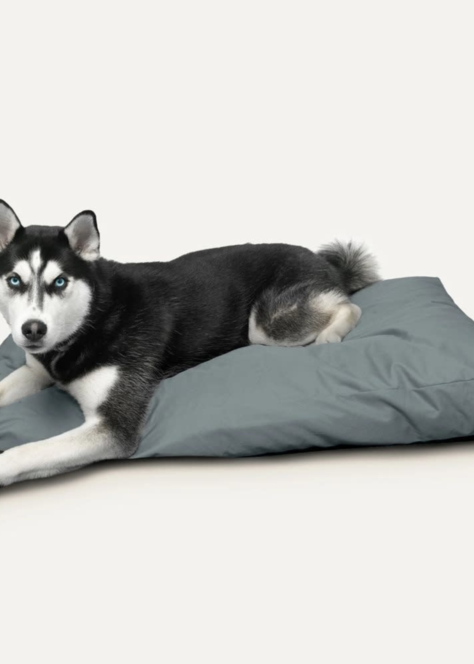 Goo-eez Goo-Eez Dog Bed - Rectangular - Light Grey - Large (50x34x5in)