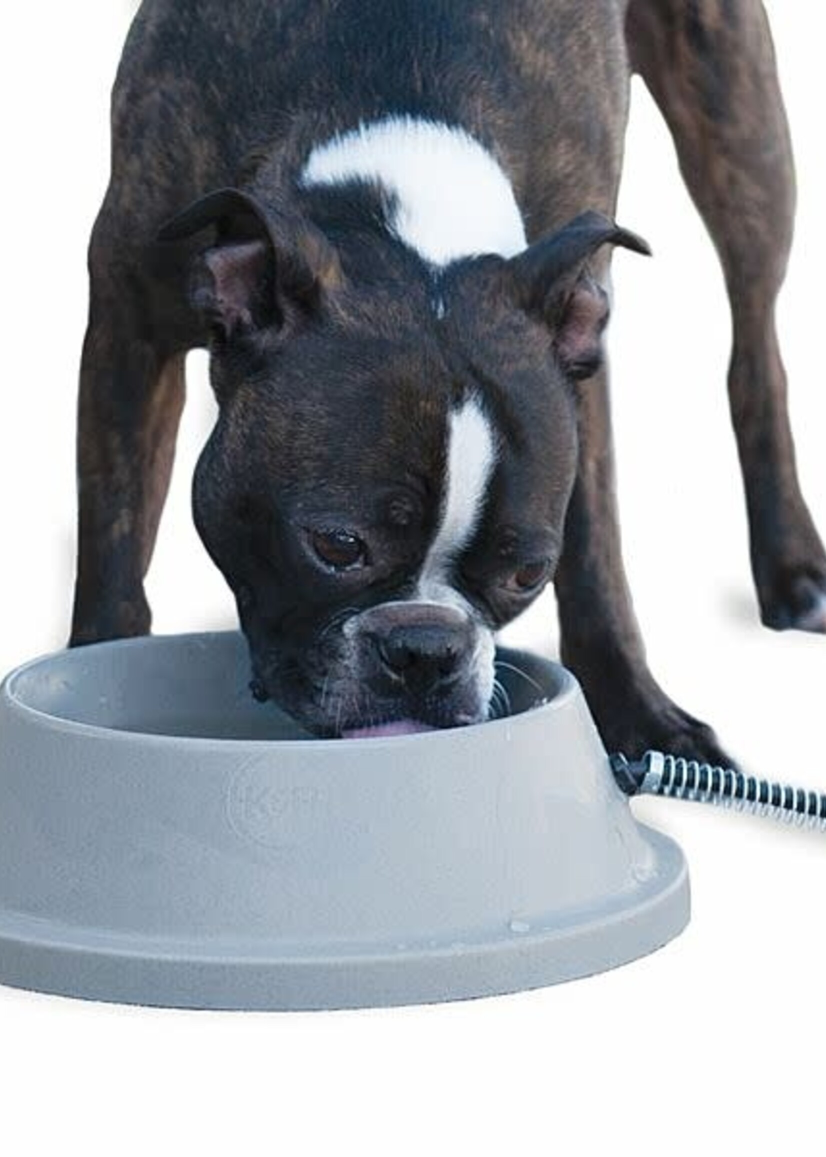 K&H Pet Products Thermal Bowl Slate Gray 32OZ 12Watt