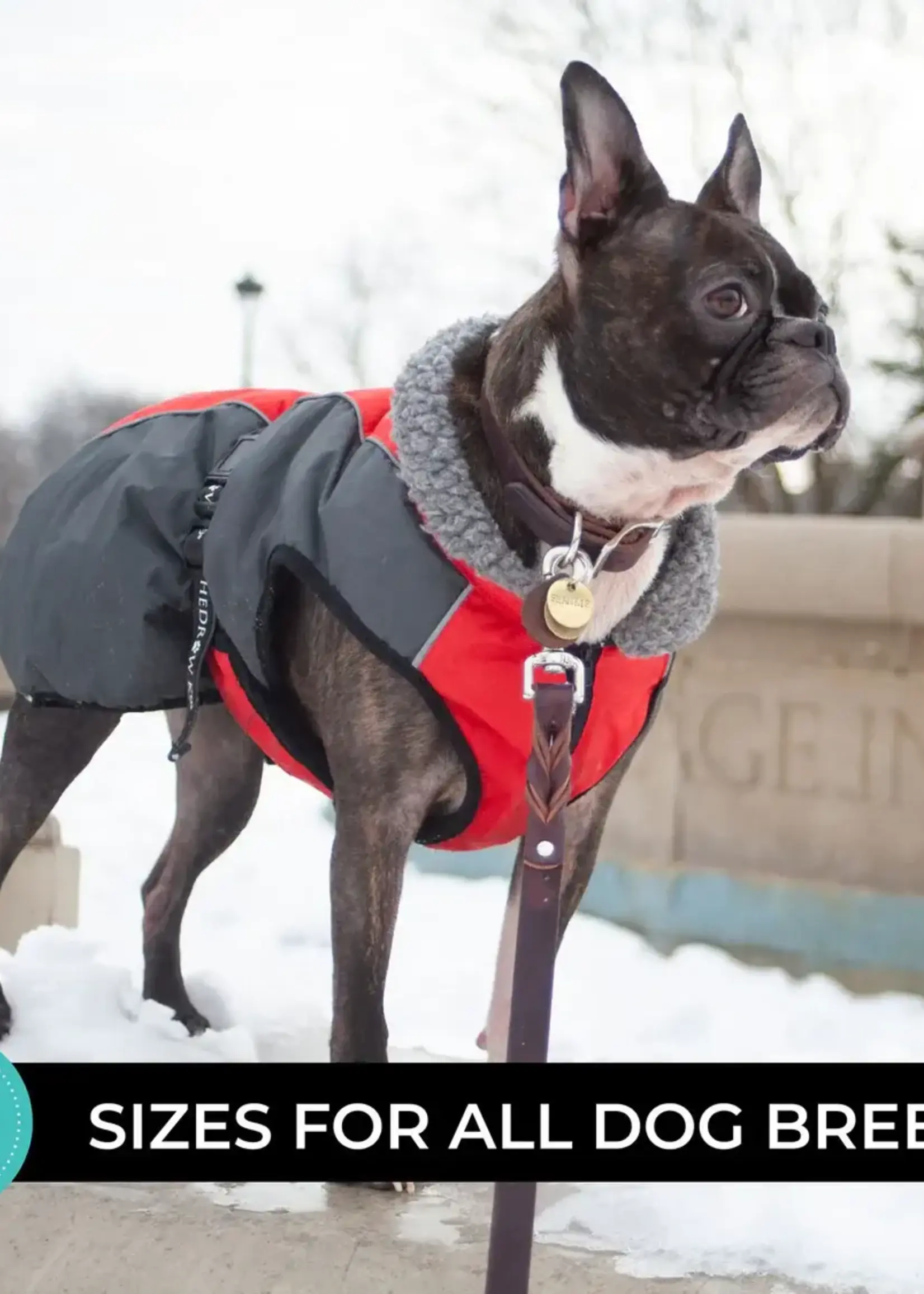 Shedrow K9 Shedrow K9 Chinook Dog Coat L Red/Grey