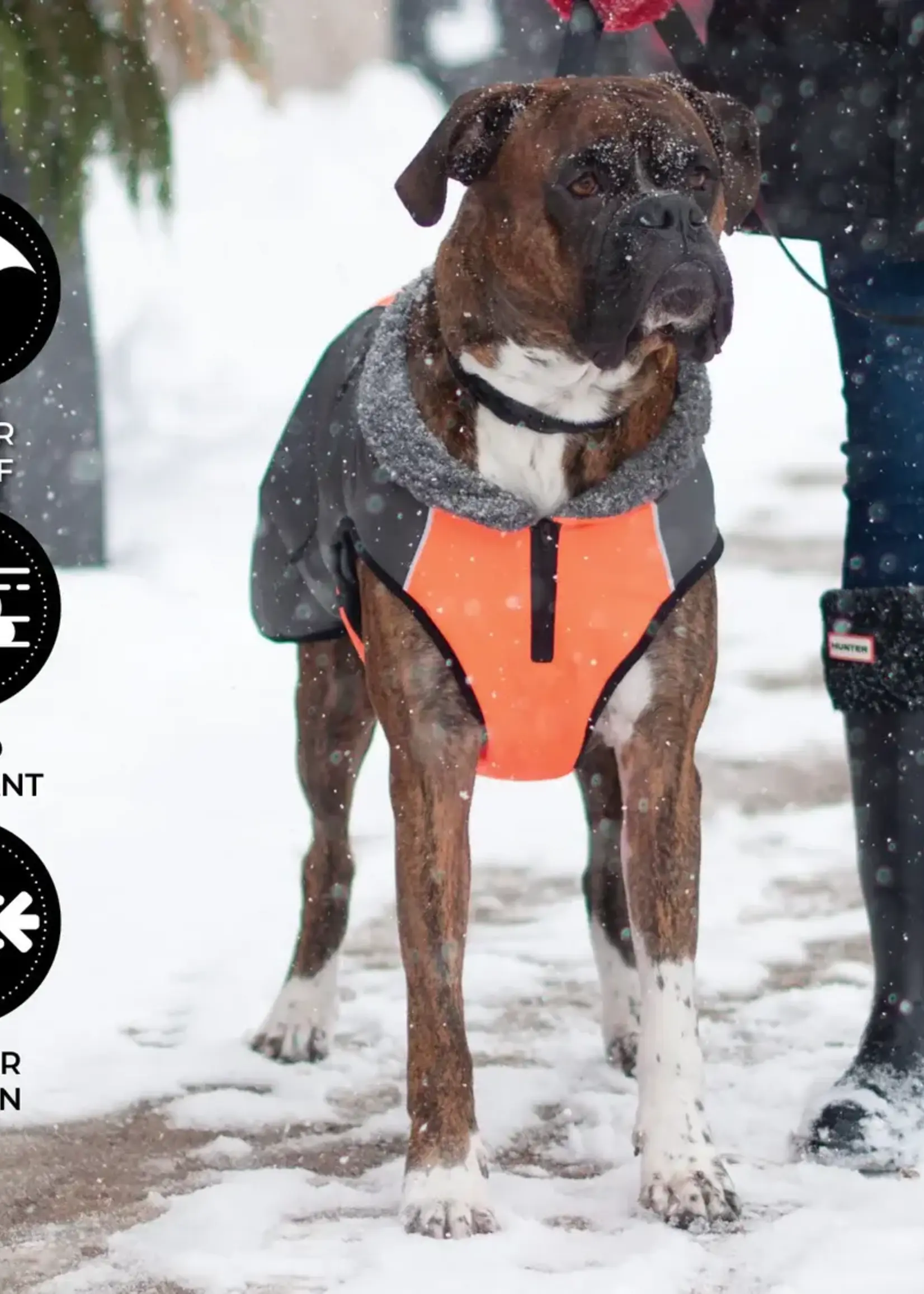 Shedrow K9 Shedrow K9 Chinook Dog Coat XL