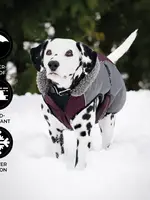 Shedrow K9 Shedrow K9 Chinook Dog Coat XL