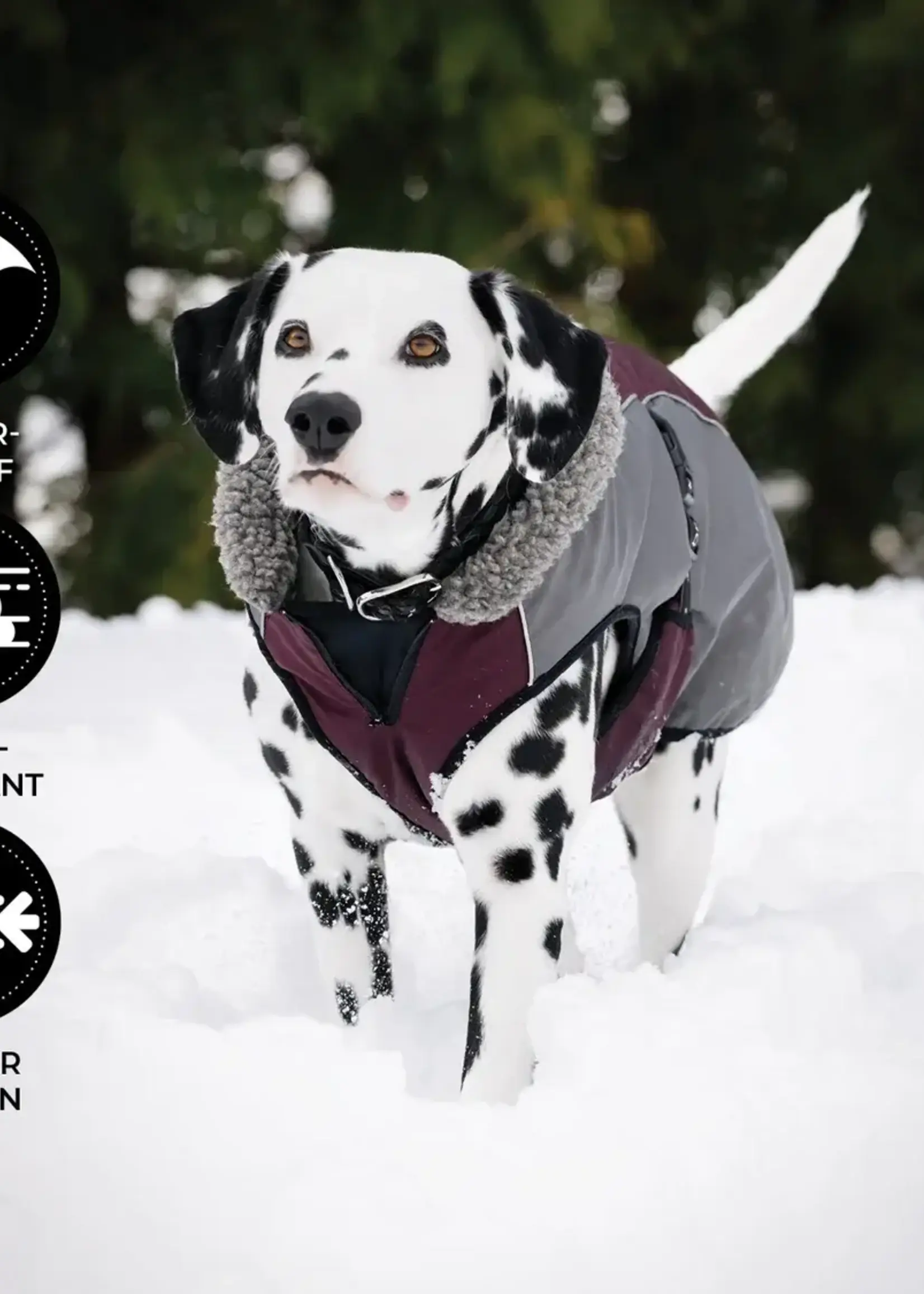 Shedrow K9 Shedrow K9 Chinook Dog Coat XL