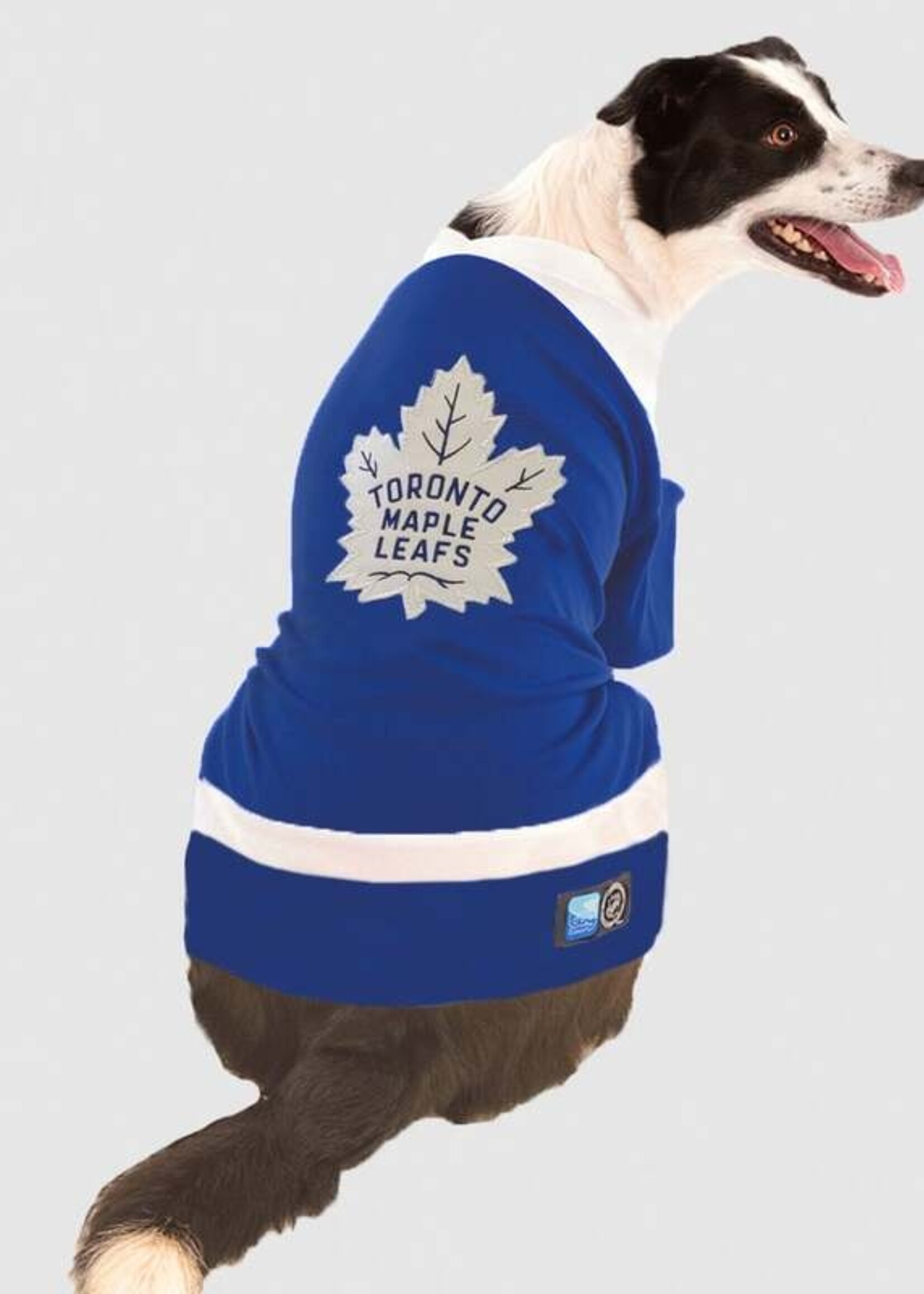 NHL Licenced Pet Jersey - Toronto Maple Leafs (NHL Licensed) XXXL