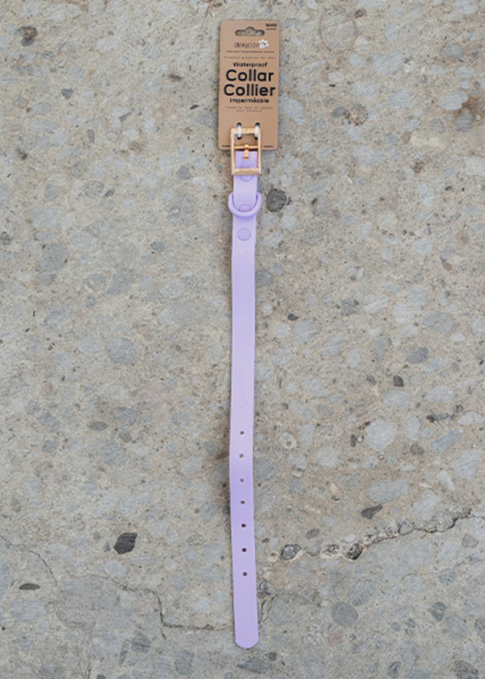 DexyPaws Dexypaws Dog Waterproof Collar Lilac Medium 3/4x11-14"