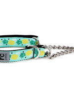 RC Pets Training Collar M Pineapple Parade