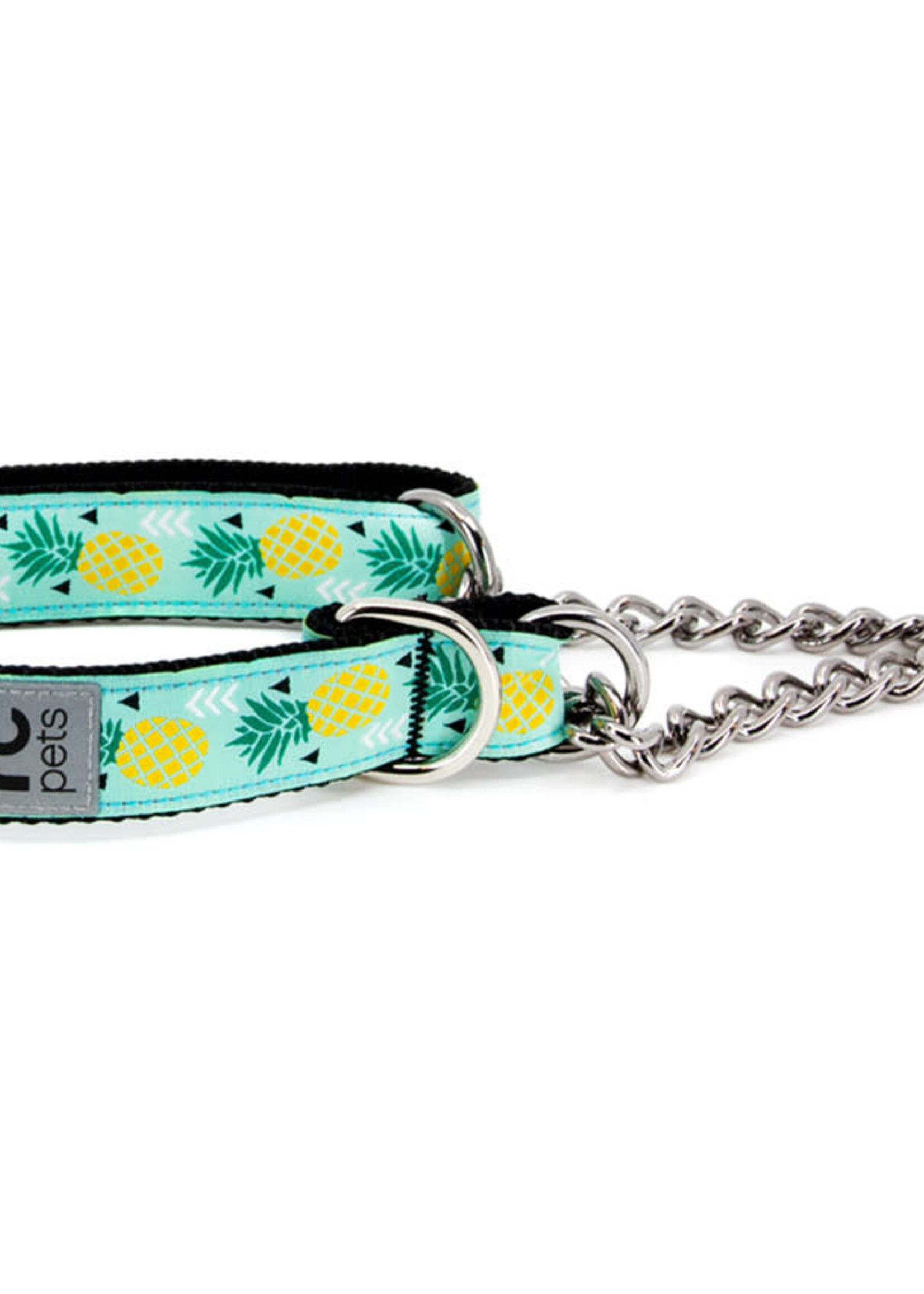 RC Pets Training Collar L Pineapple Parade