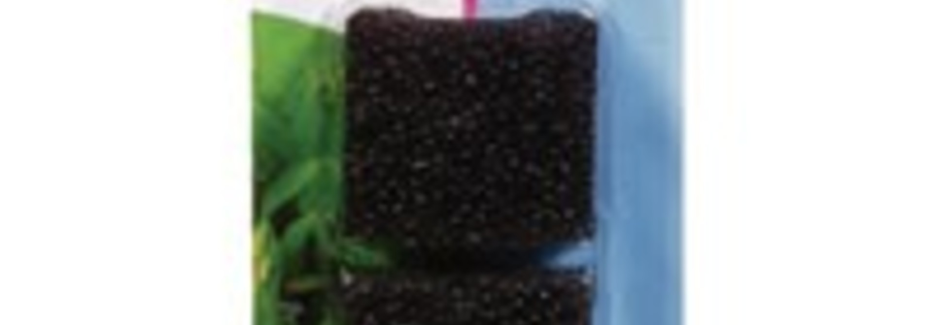 Elite Replacement Mini Foam Filter Inserts - 2 pack