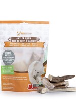 Moose Antler Chew - Large - 1/2lb