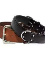 Angel Dallas Leather Collar (Black) 28-2"