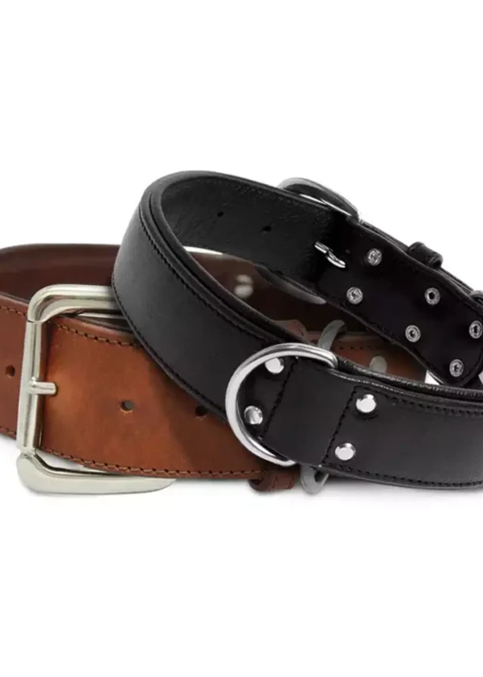 Angel Dallas Leather Collar (Black) 28-2"