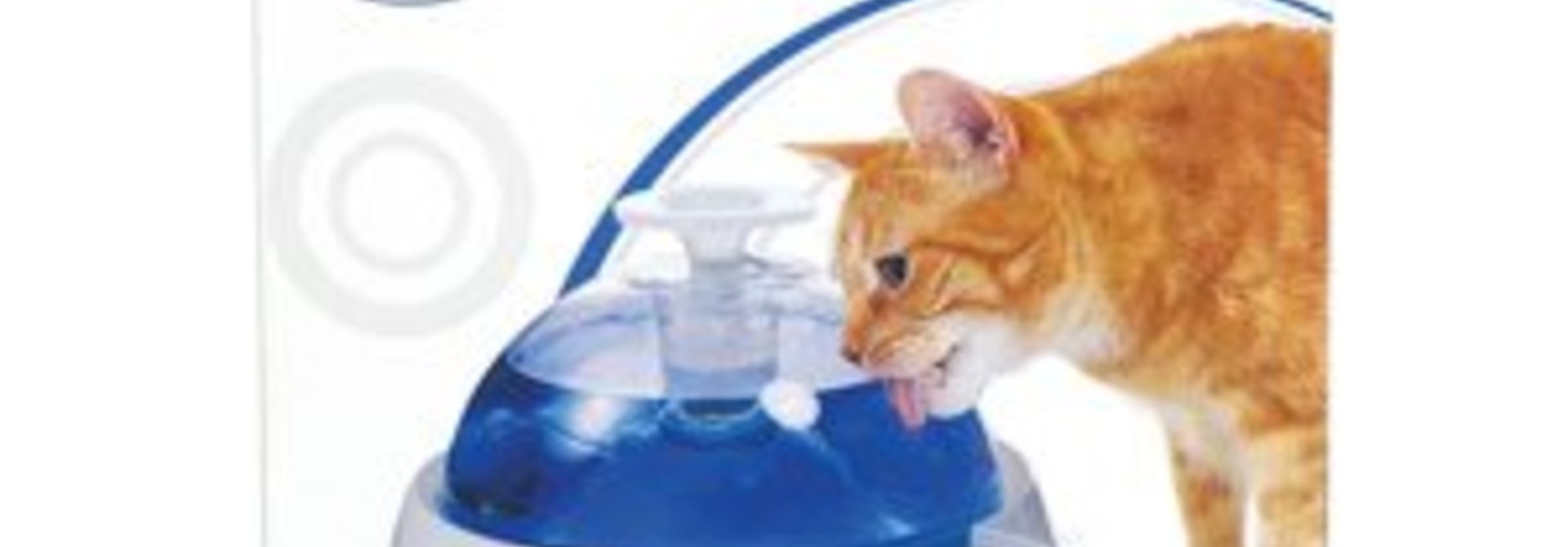 Fresh and Clear Drinking Fountain for Cats and Puppies