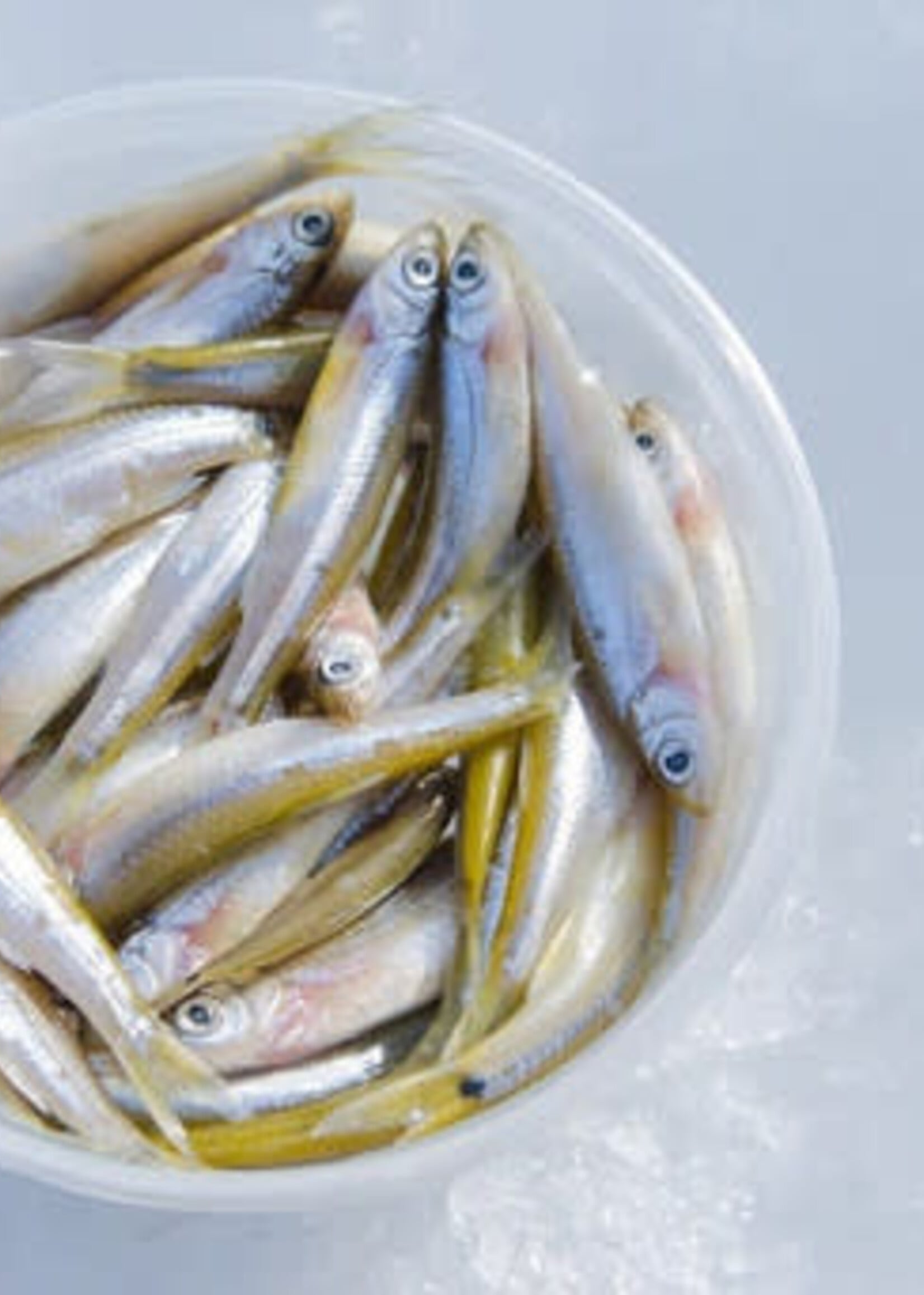 Walley Master Northern Lite Salted Minnows