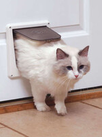 Pet Safe Two Way Interior Door
