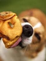 FurEver Pure Pork Snouts - Bulk