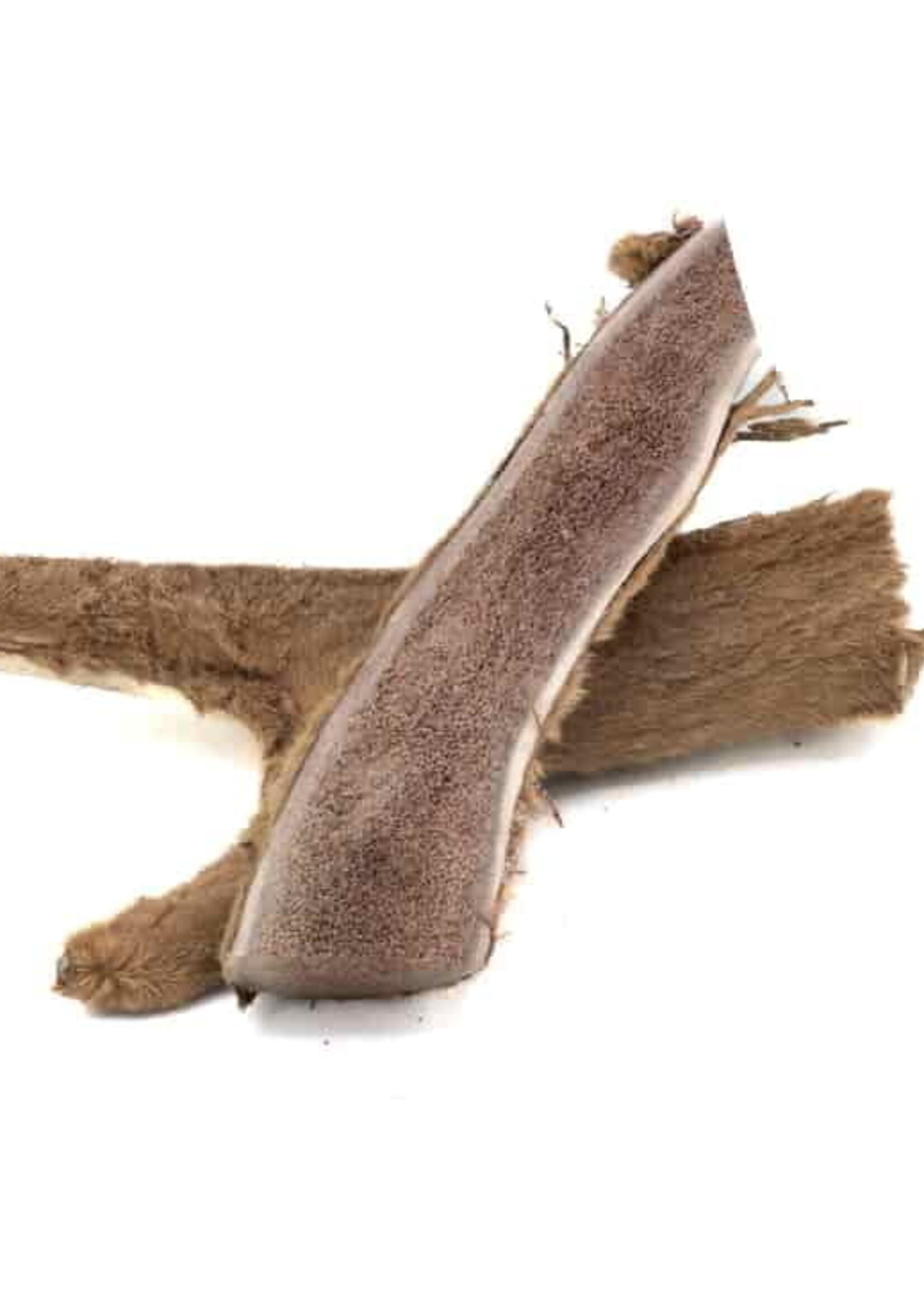FurEver Pure Split Elk Antler (Velvet) - XL , 8-11"