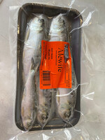 Walley Master Alewife 8" Bait