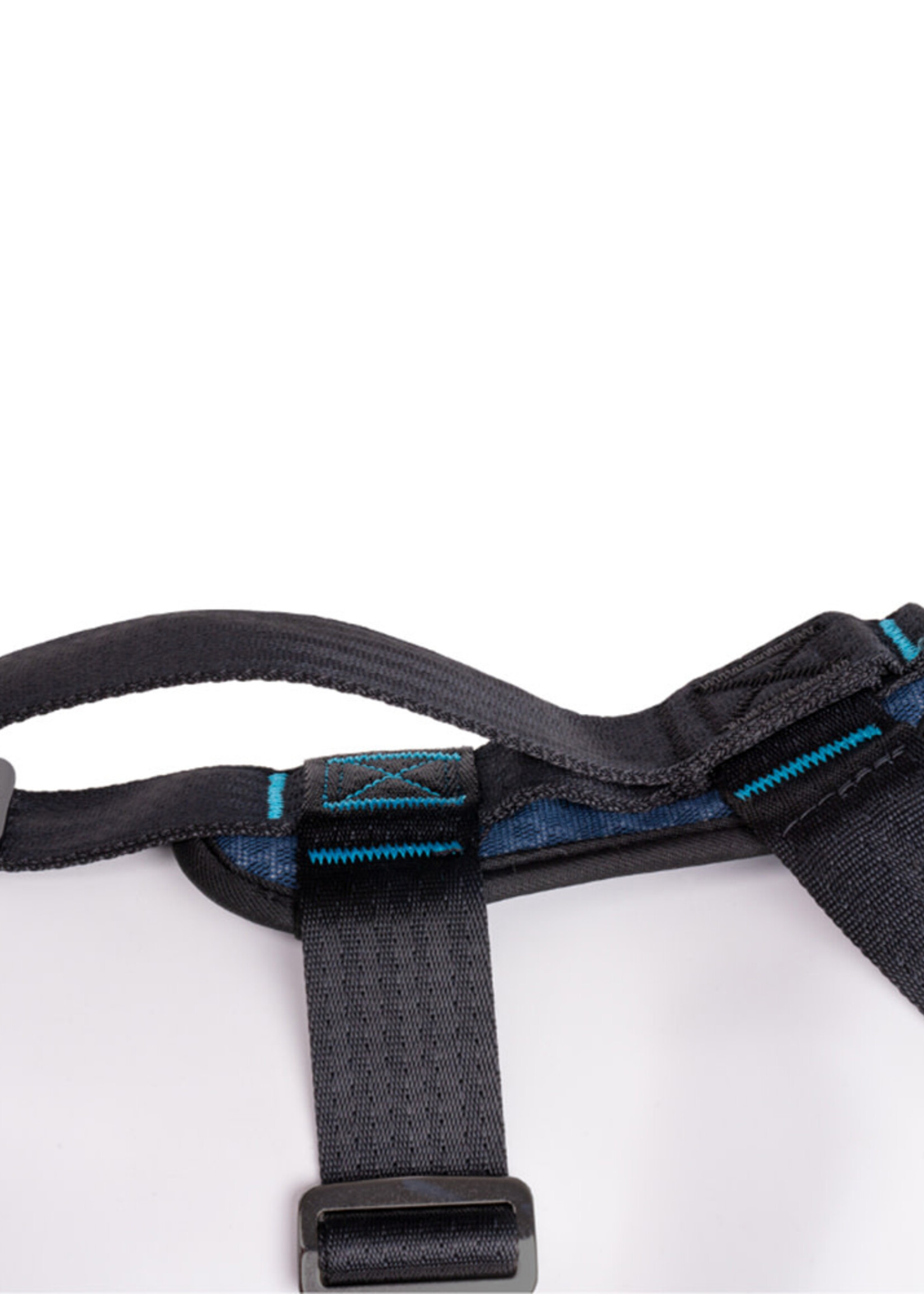 HALTI CarSafe Crash Tested Dog Harness Blue - Medium