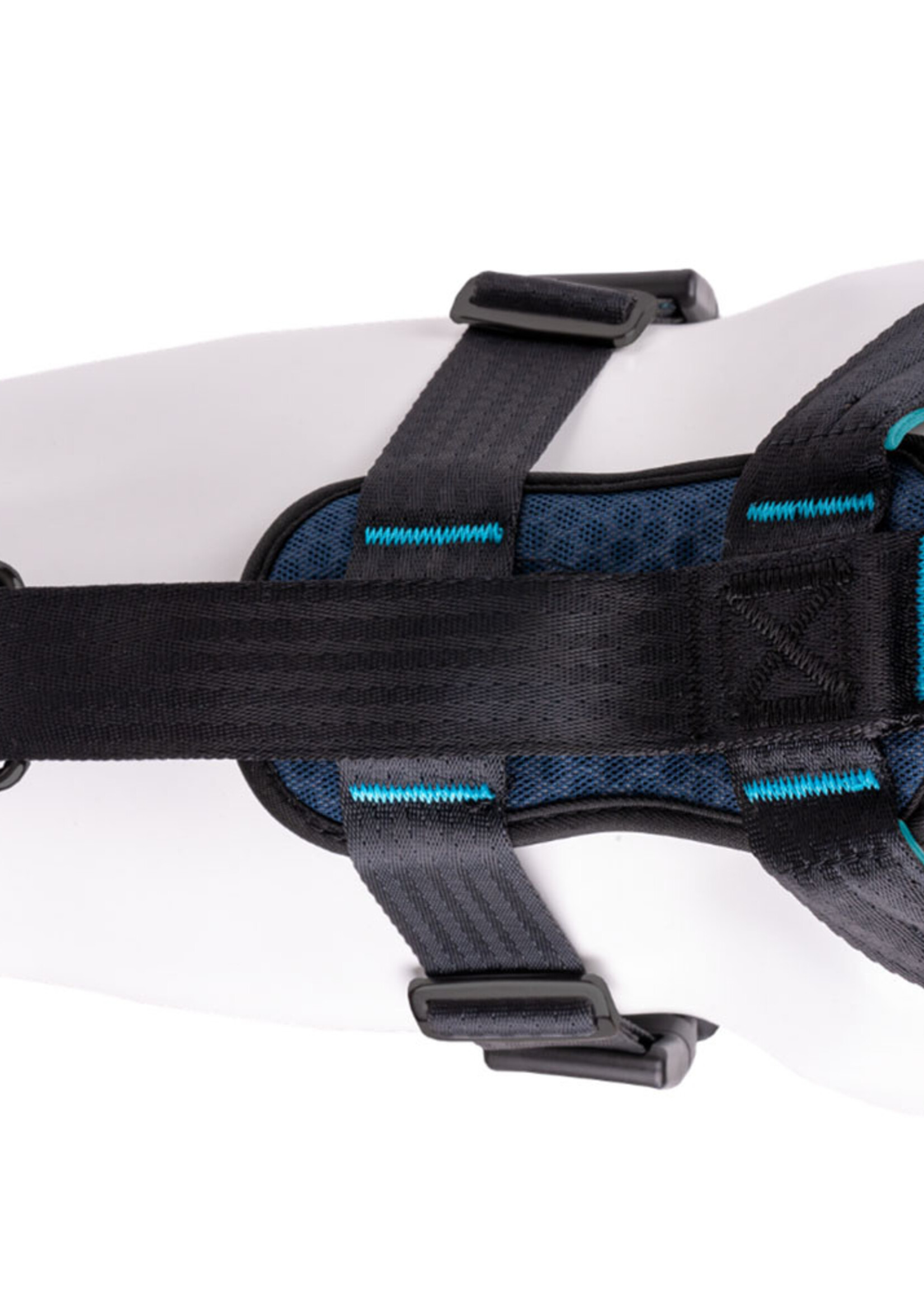 HALTI CarSafe Crash Tested Dog Harness Blue Small