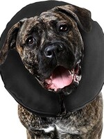 ZenDog Zen ProCollar - XXLarge