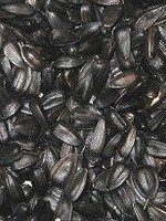 Regular Quality Black Oil Sunflower 40lbs