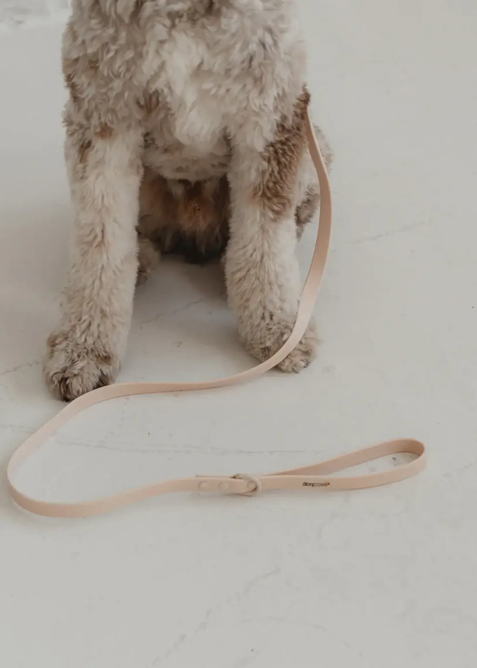 DexyPaws Dexypaws Dog Waterproof Leash Nude 5' DISCONTINUED