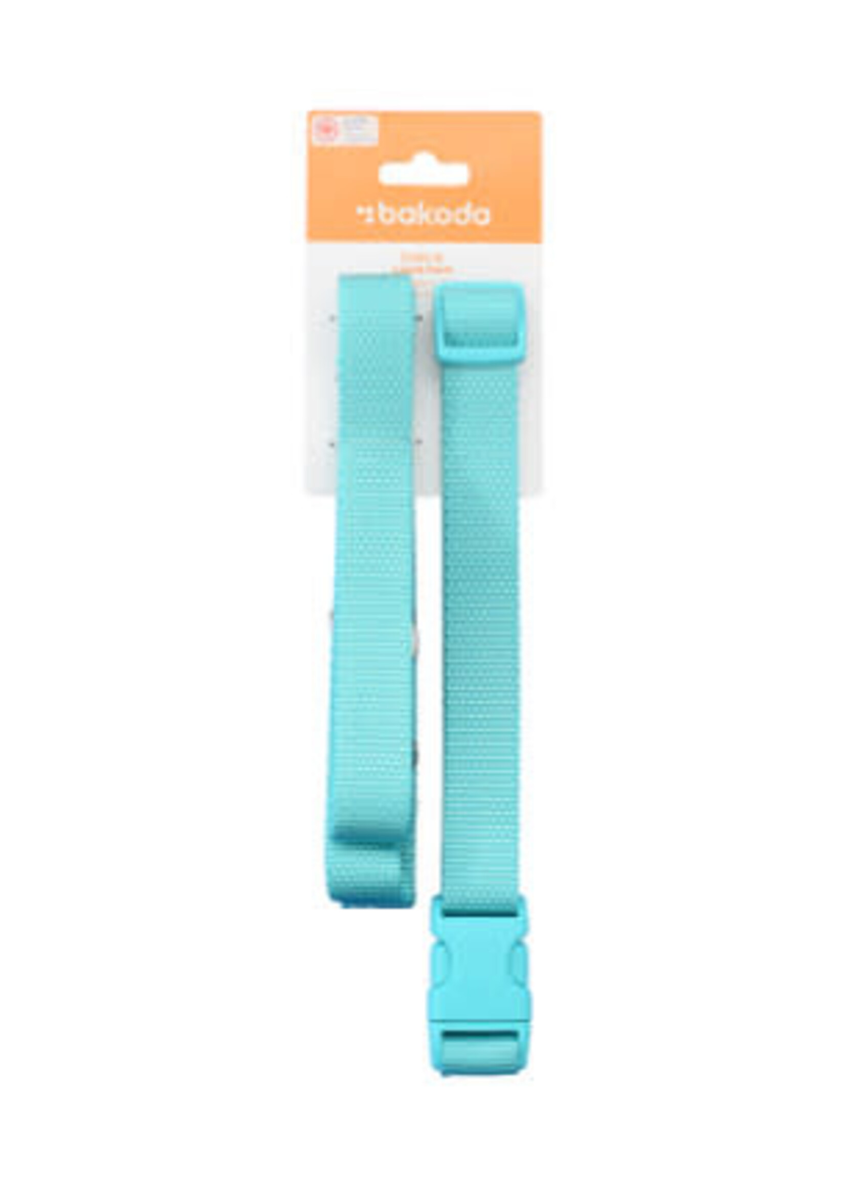 RC Pets Bakoda Collar & Leash - Large - Teal