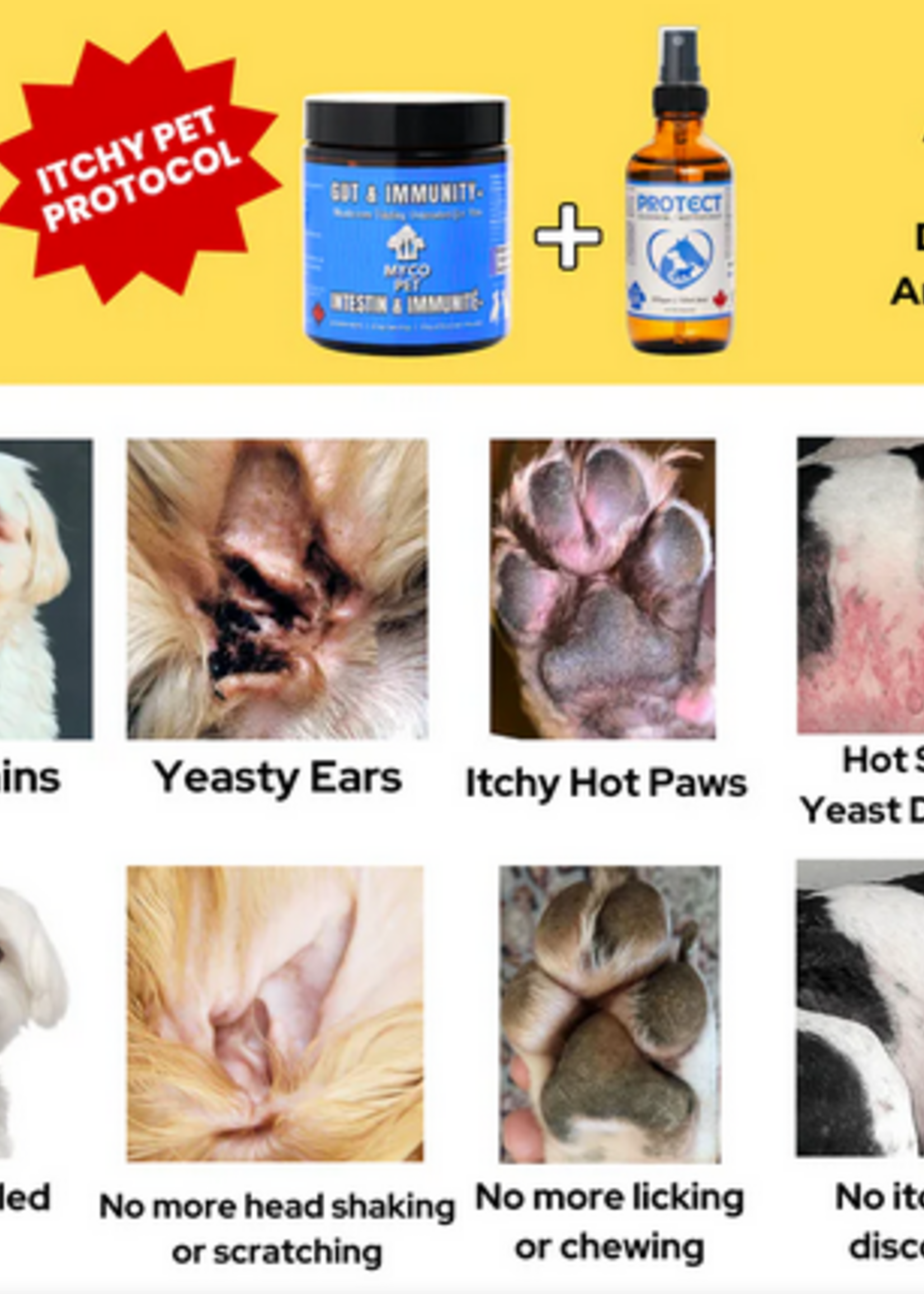 MYCO PET MYCO PET PROTECT -  120ml