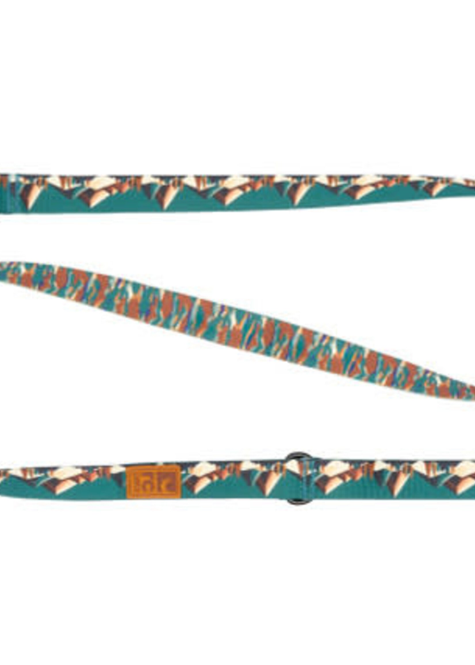 RC Pets Eco Leash Serene Slopes / Canyon Camo 1"X5'