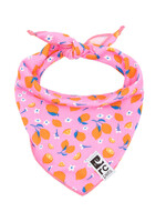 RC Pets Pets - Zephyr Cooling Bandana Zesty  S/M