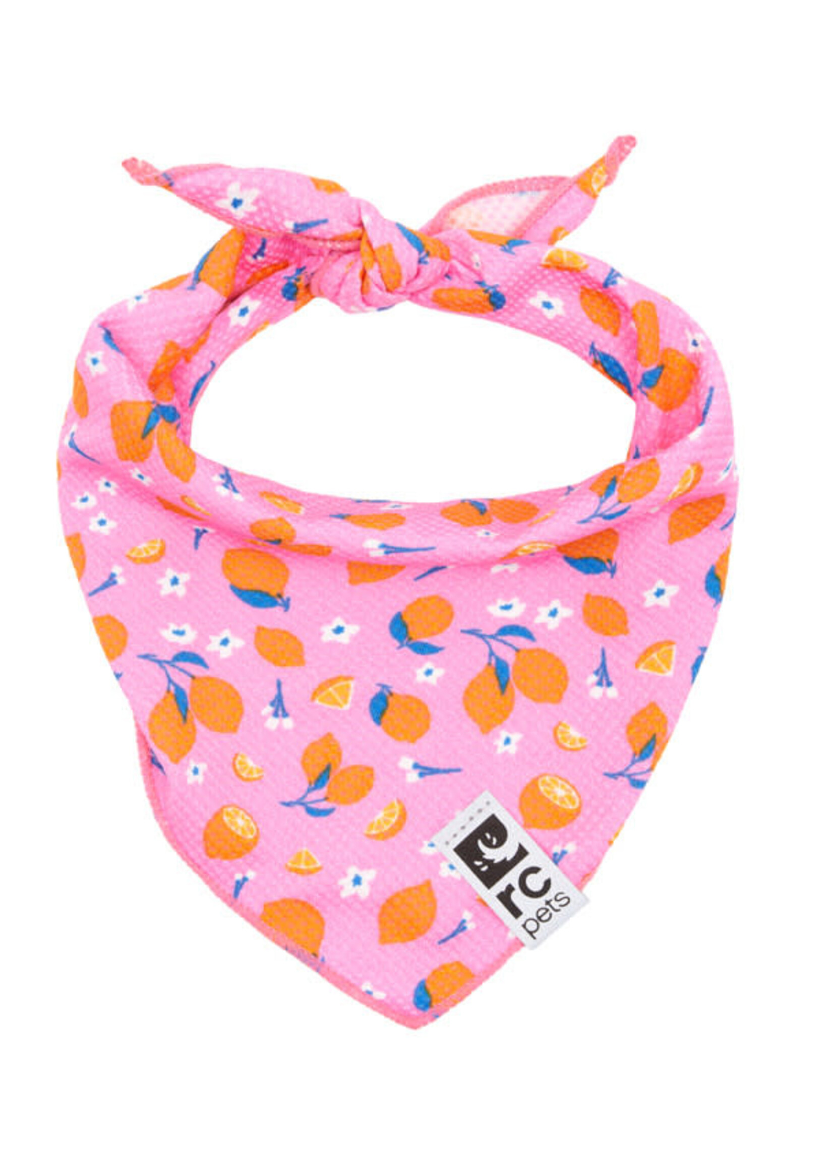RC Pets Pets - Zephyr Cooling Bandana Zesty  S/M