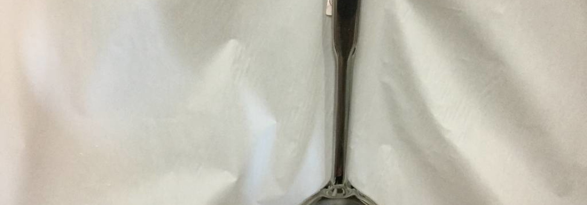 SST Cat Litter Scoop