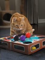 Kong KONG Playground Pool Table