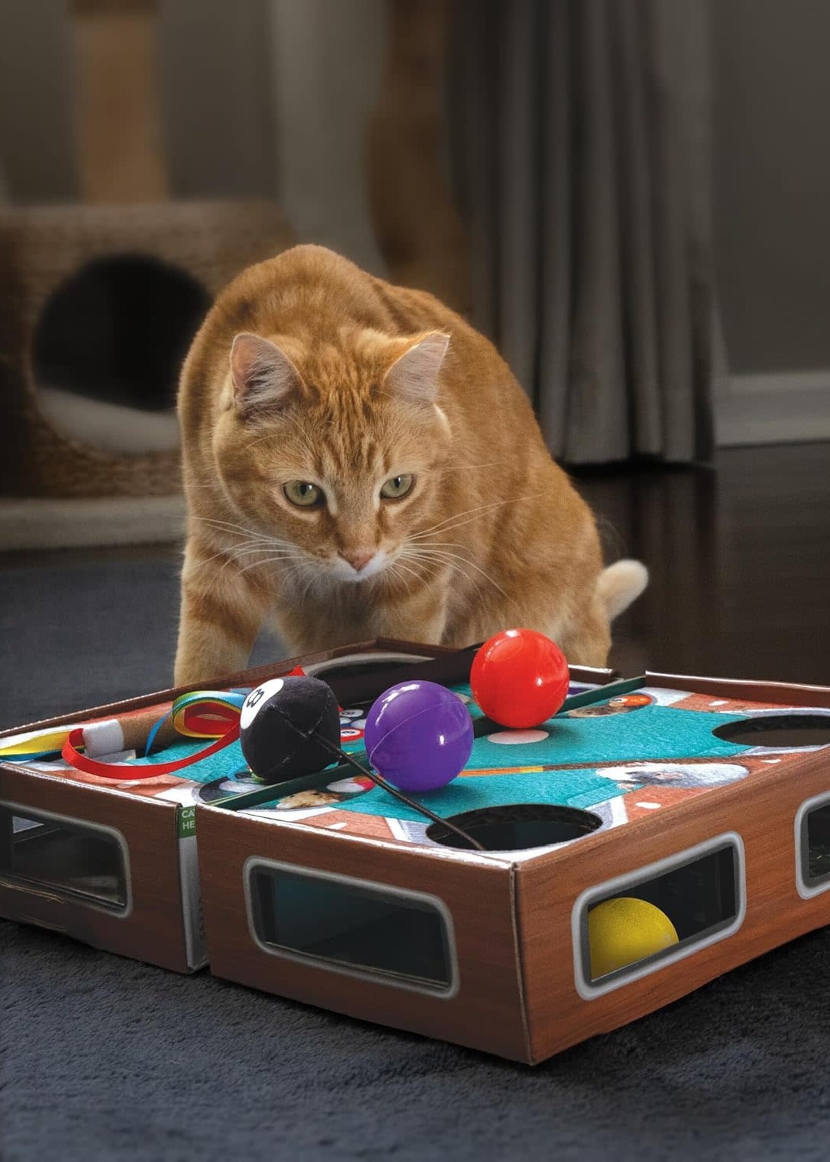 Kong KONG Playground Pool Table