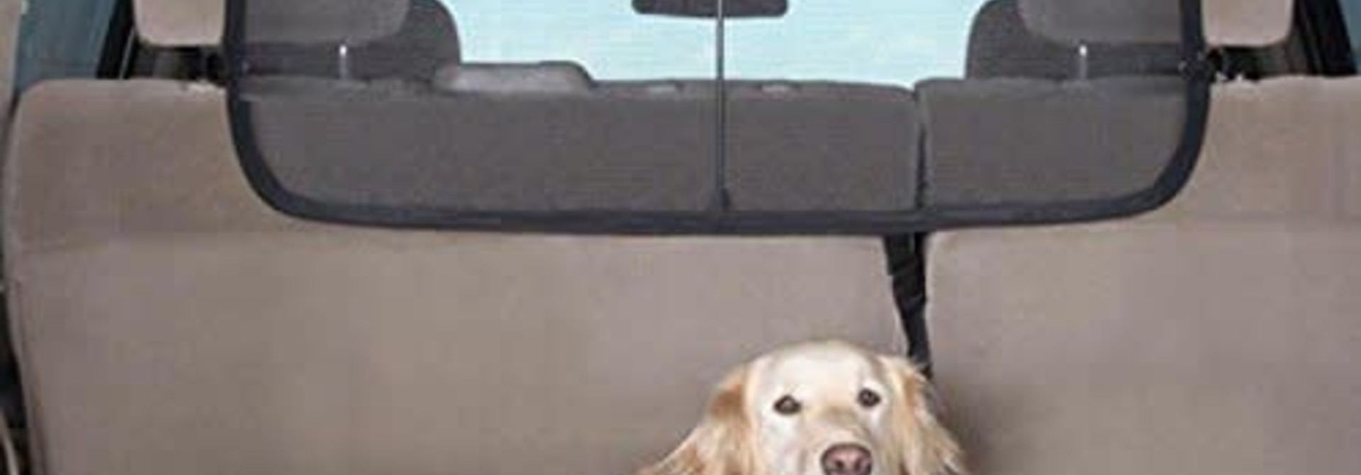 Cargo Area Net Barrier 36x22