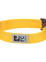 RC Pets Primary Clip Collar - Marigold  S