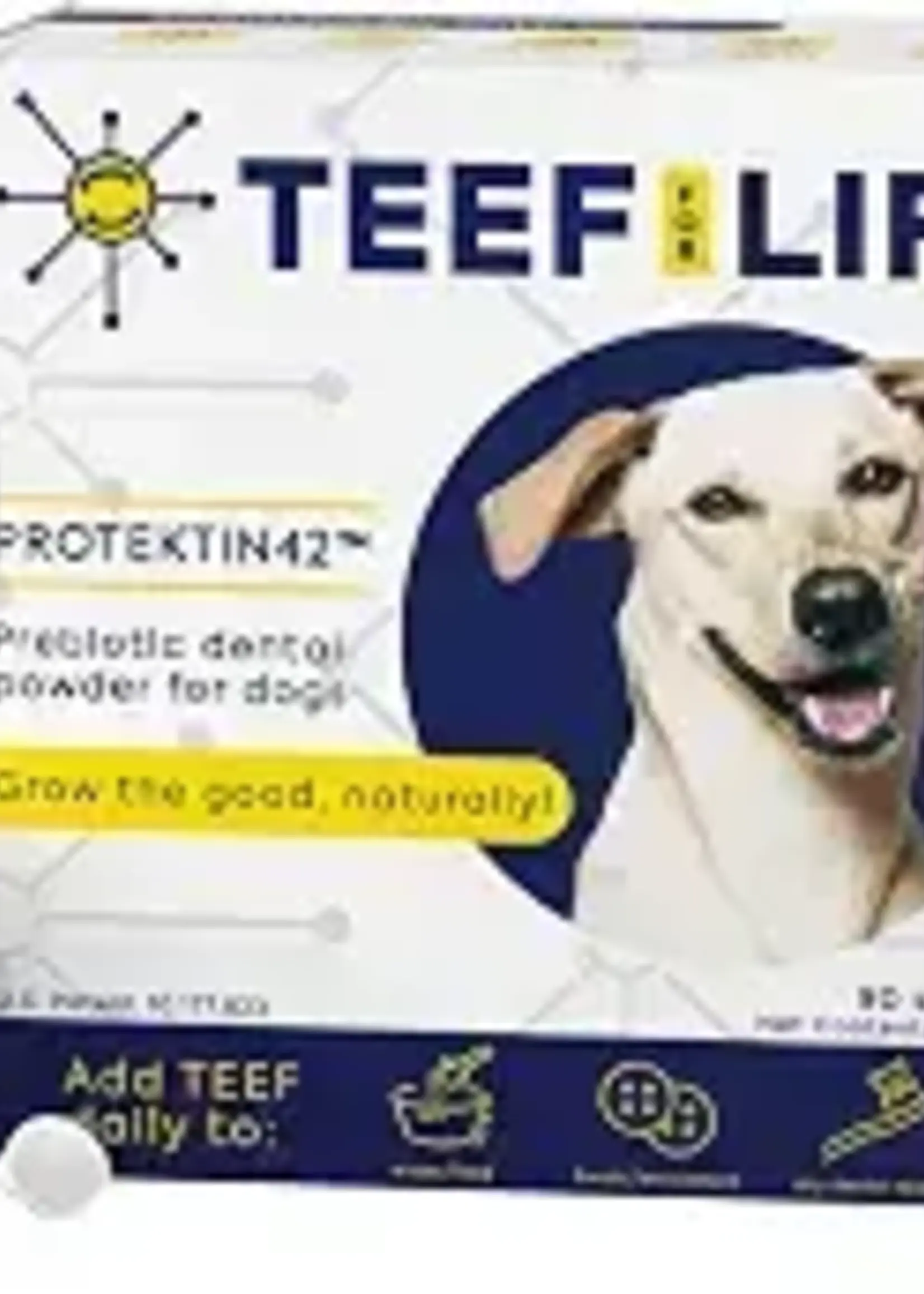 Teef for Life TEEF Dental Pwd Dog 90svg 9g