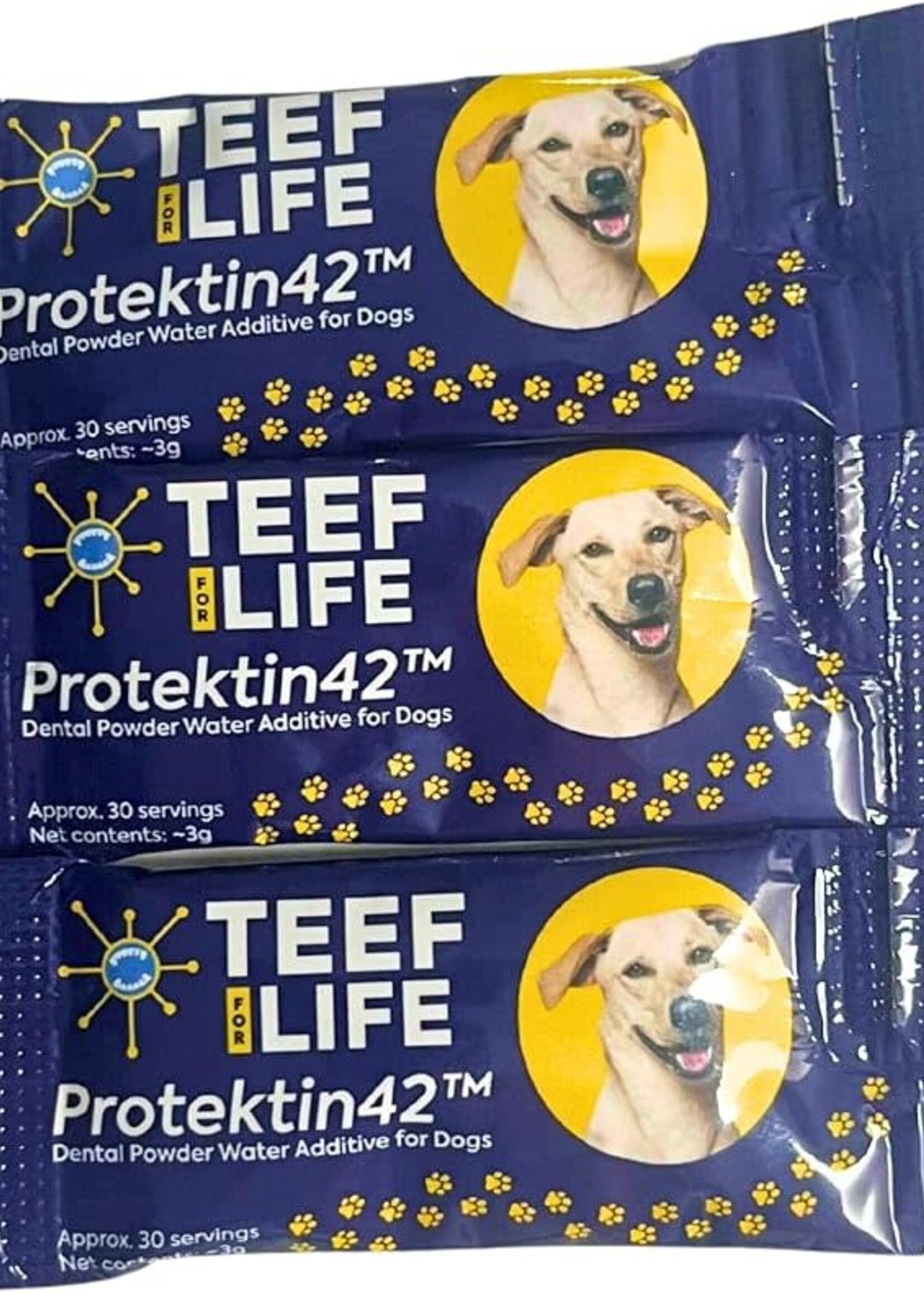 Teef for Life TEEF Refill Pwd Dog 90svg 9g